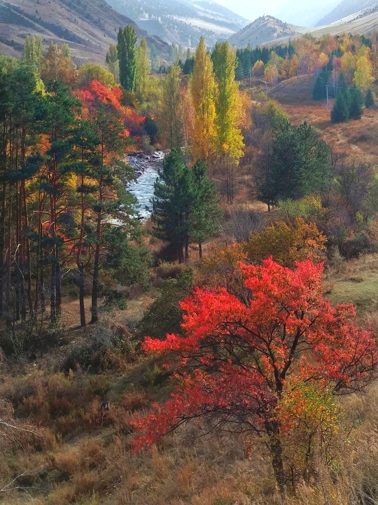 Photograph by Орынбек Асилбаев