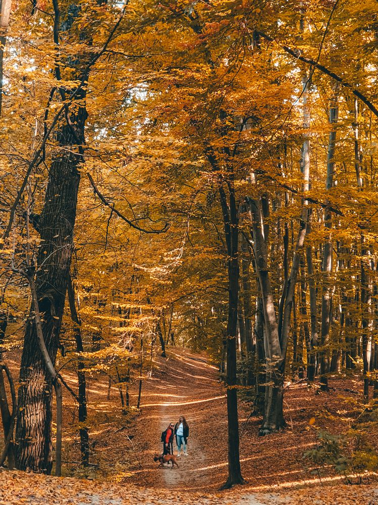 Photograph by Liudmila Kirillova