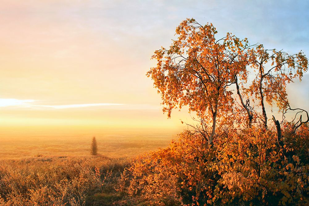 Photograph by Сергей Чарушин