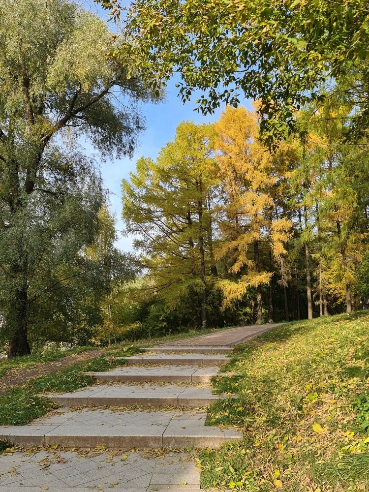 Дорога в Осень