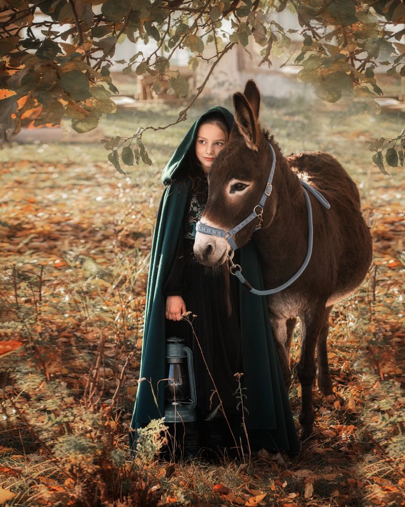 Photograph by Полотенко Екатерина