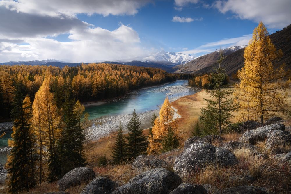 Торжество осени