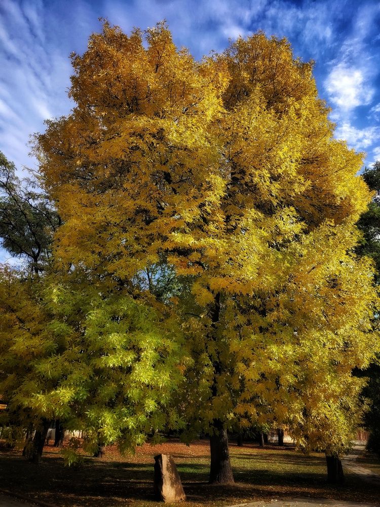 Фотография автора Ольга Игуменова