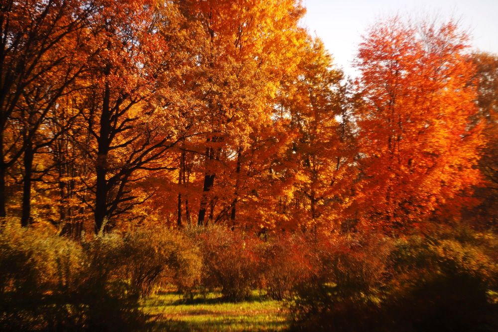 Photograph by Константин Лагоденко