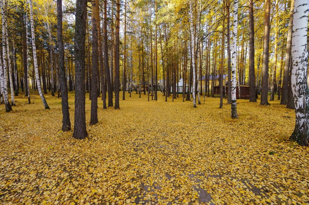 Photograph by Евгений Наймушин