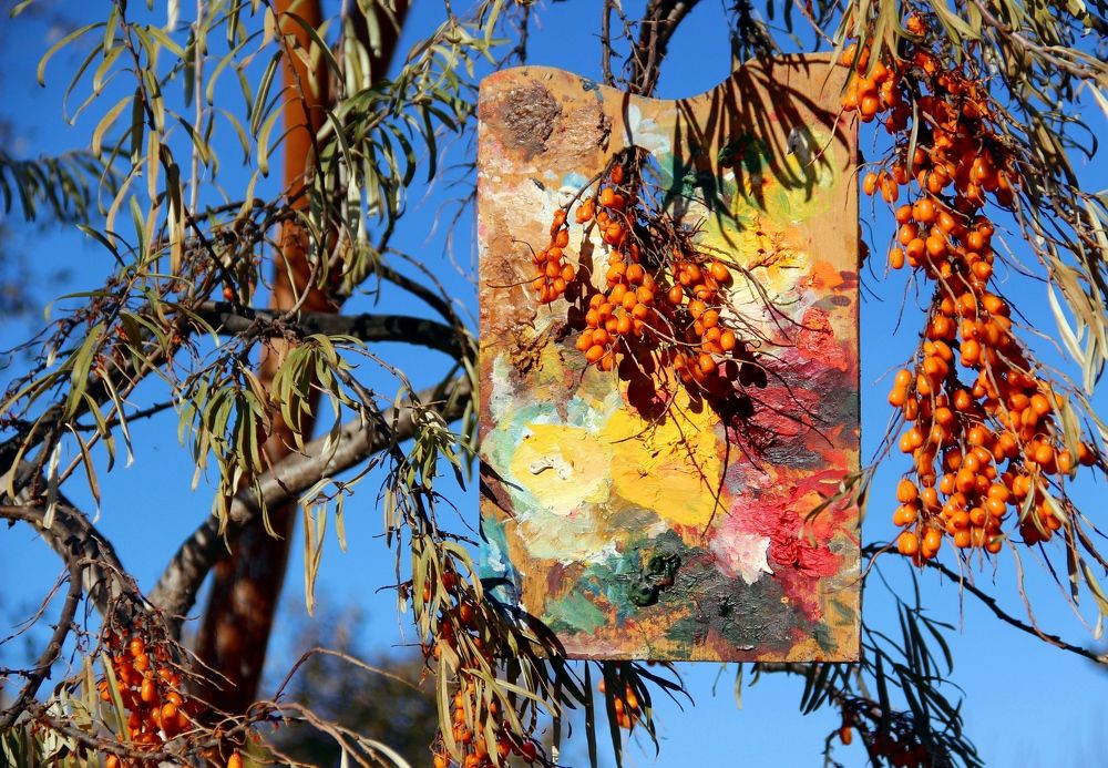 Photograph by Любовь Саханова