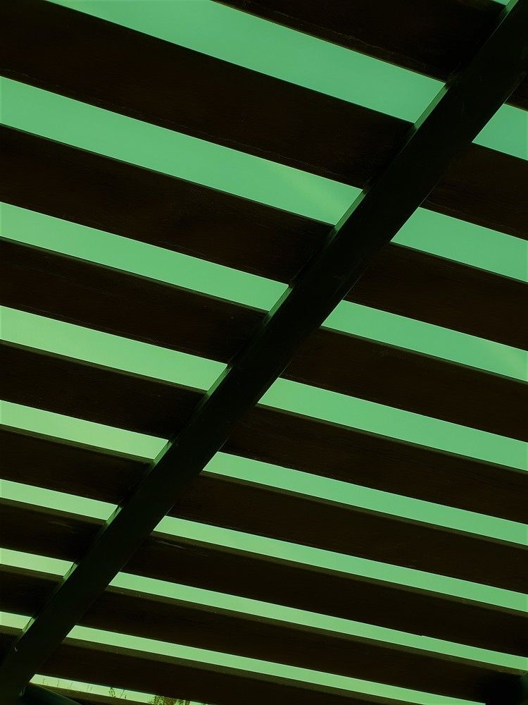 Photograph by Marie G