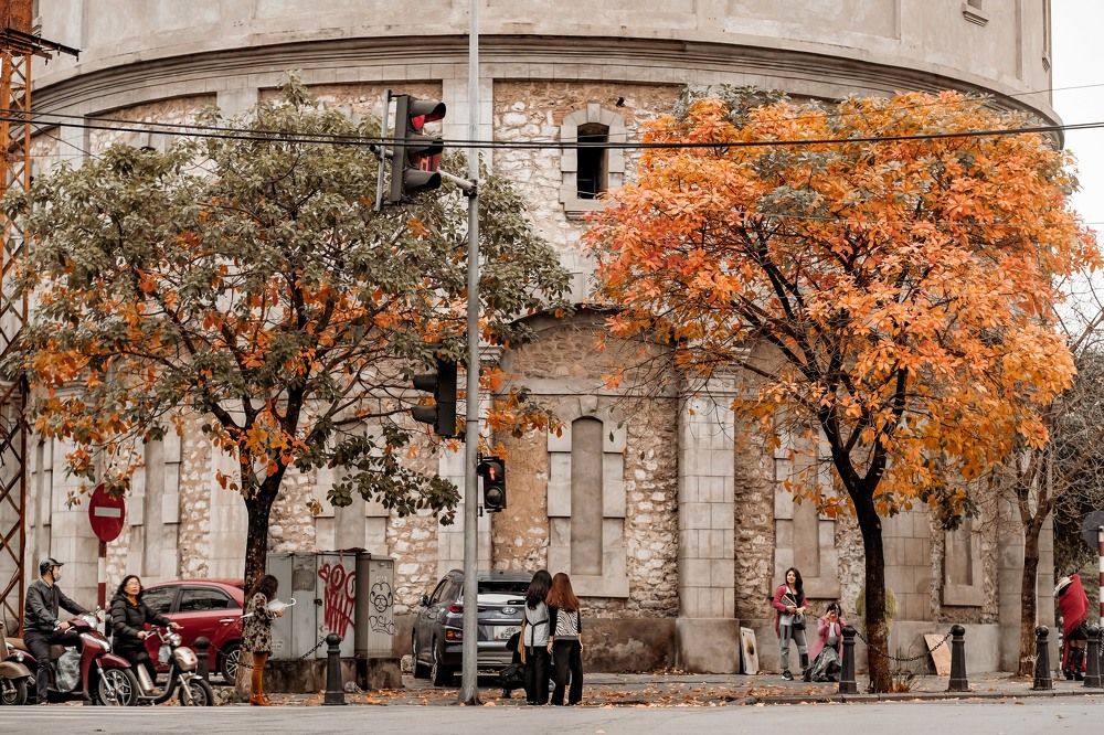 Photograph by Nguyễn Tú