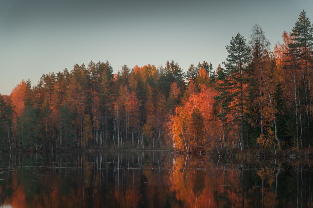 Photograph by Денис Кошкин