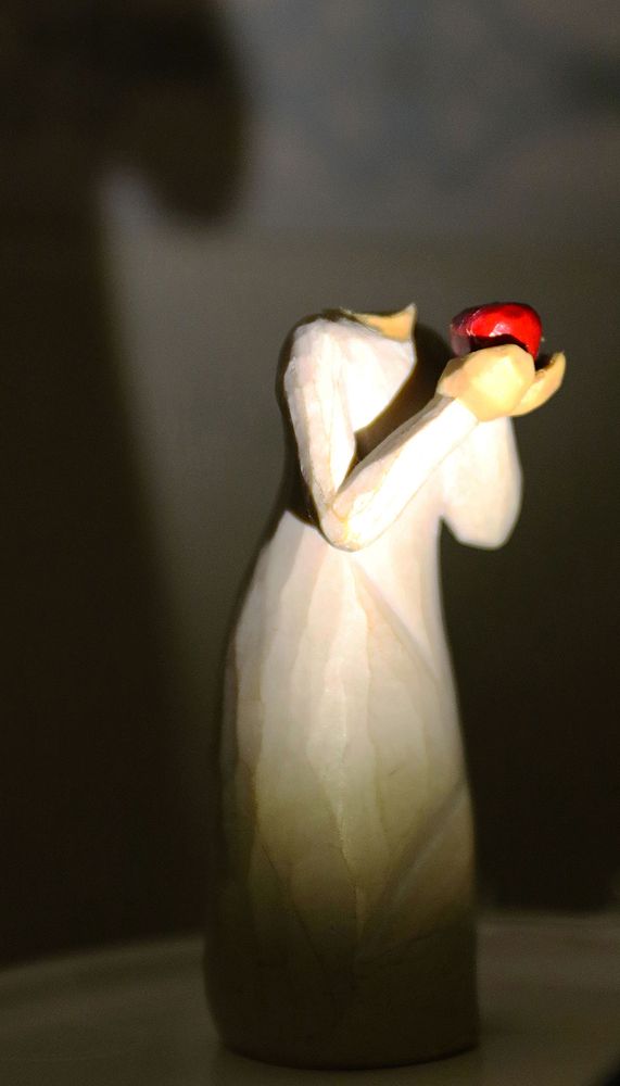 Photograph by behbood mohajeri jolandan