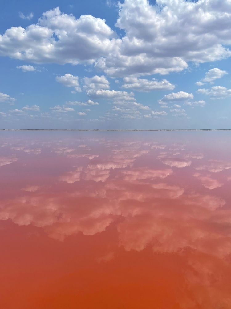 Photograph by Antonina Marchenko