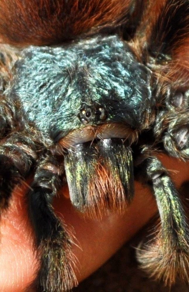 Photograph by Денис Смородин