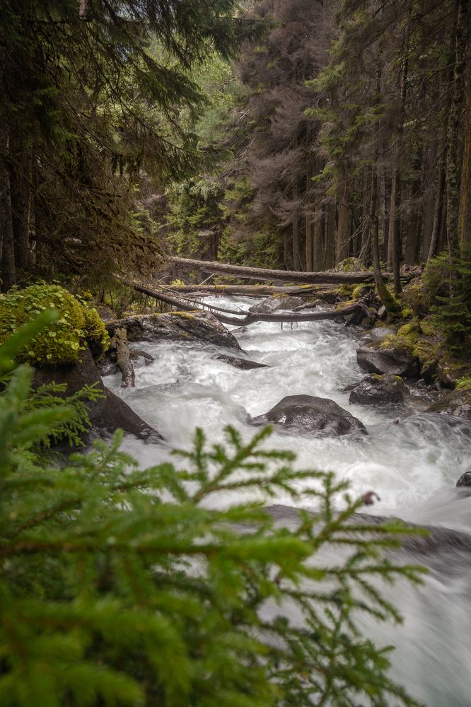 Photograph by Анастасия Плахотникова