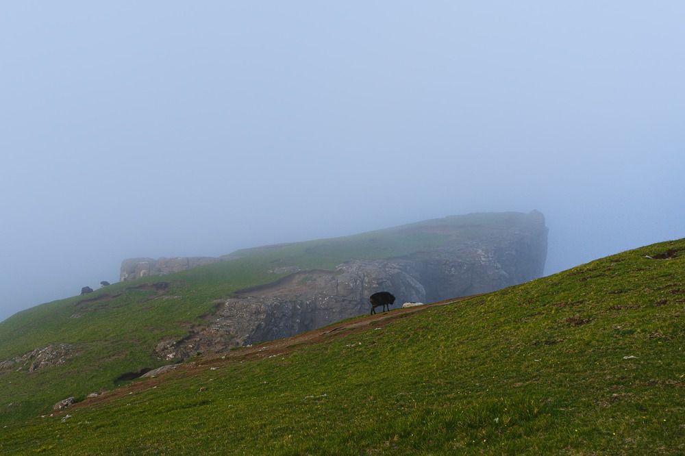 Photograph by Silja Tamme