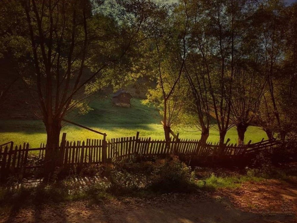 Photograph by Cornelia Ilie