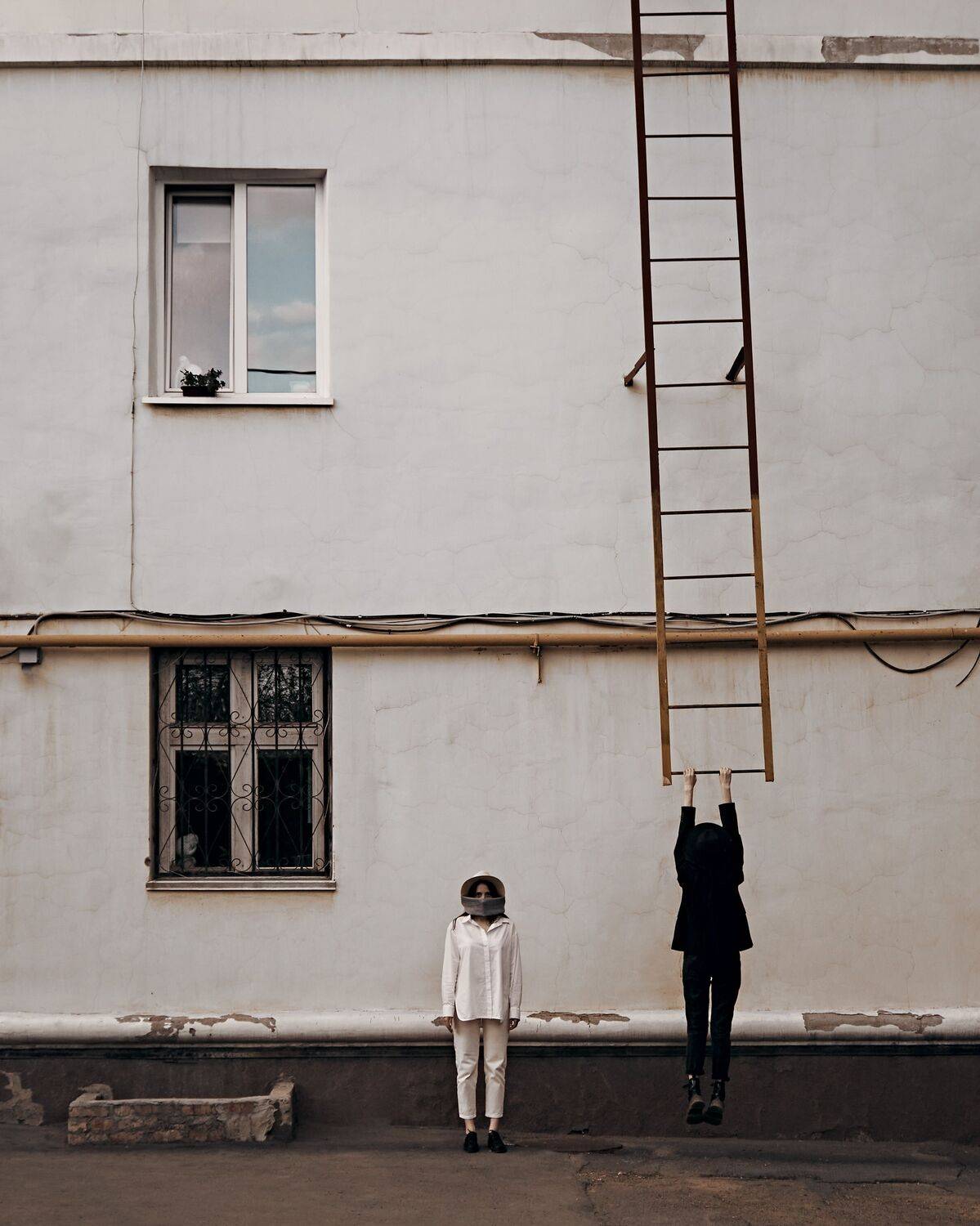Photo #6588069