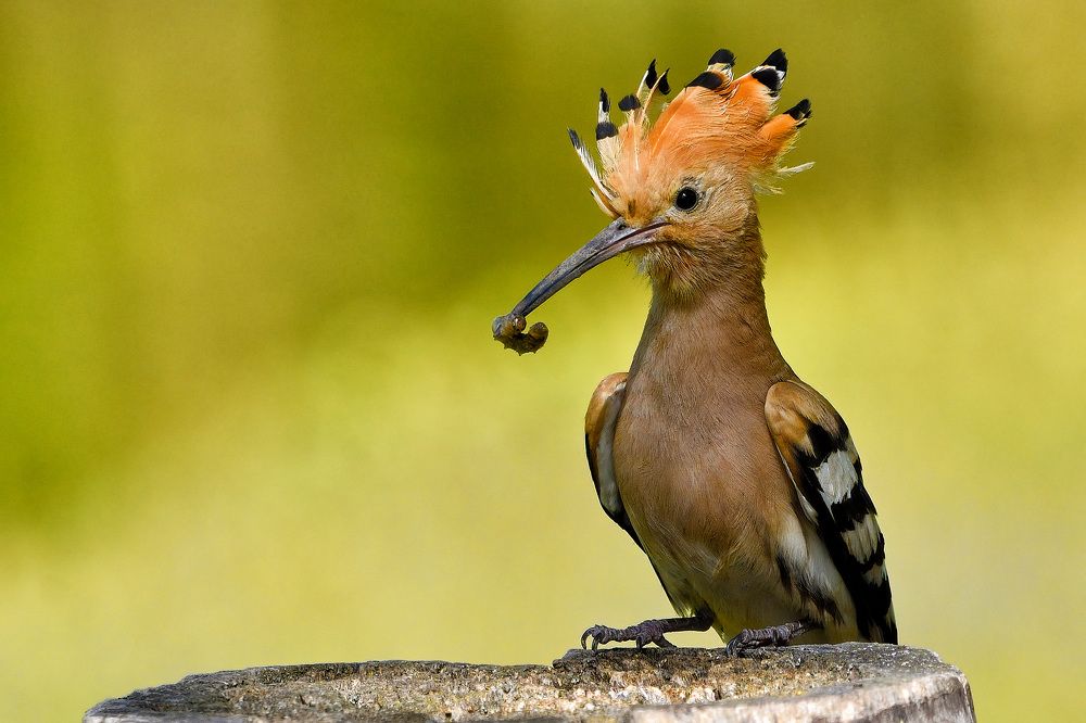 Photograph by Вячеслав Ладанов