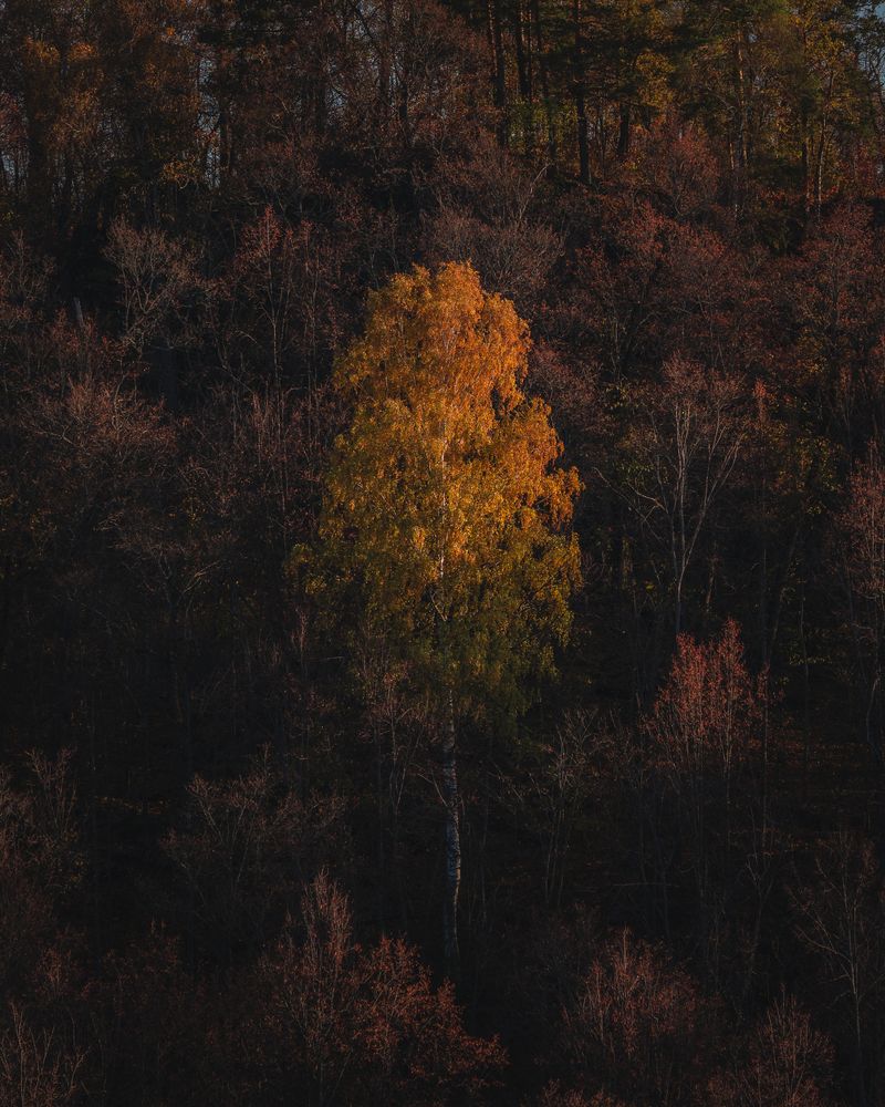 Фотография автора Эдуард Галеев