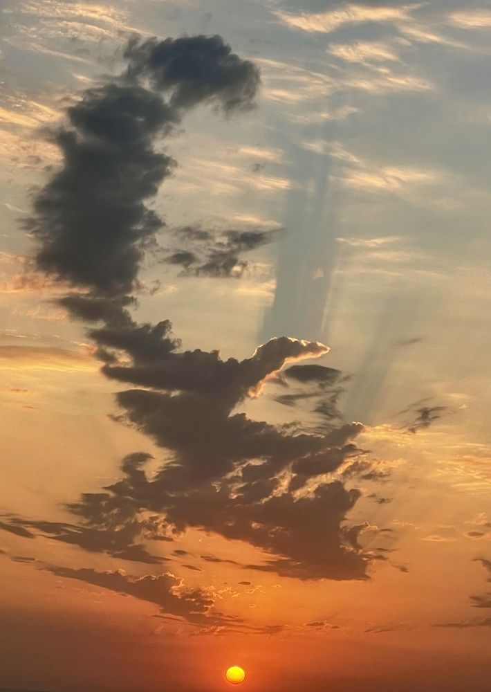 Образ половины мужского лица. The image of half a man's face.