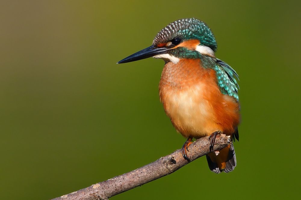 Photograph by Вячеслав Ладанов