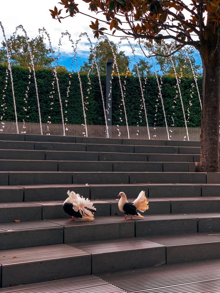 Photograph by Мурат