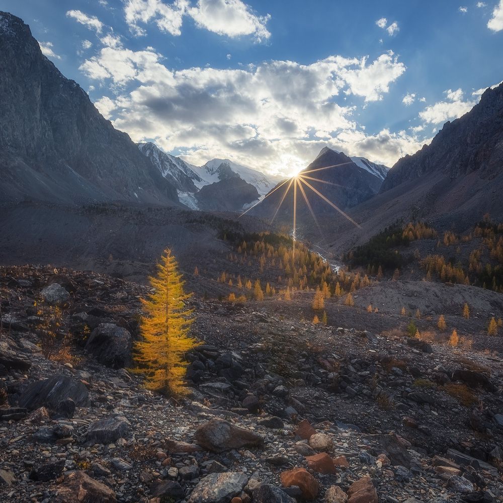 Photograph by Алексей Марголин