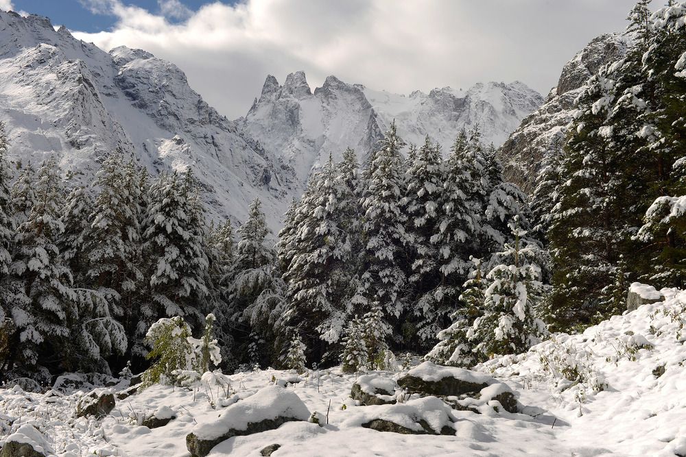Первый снег