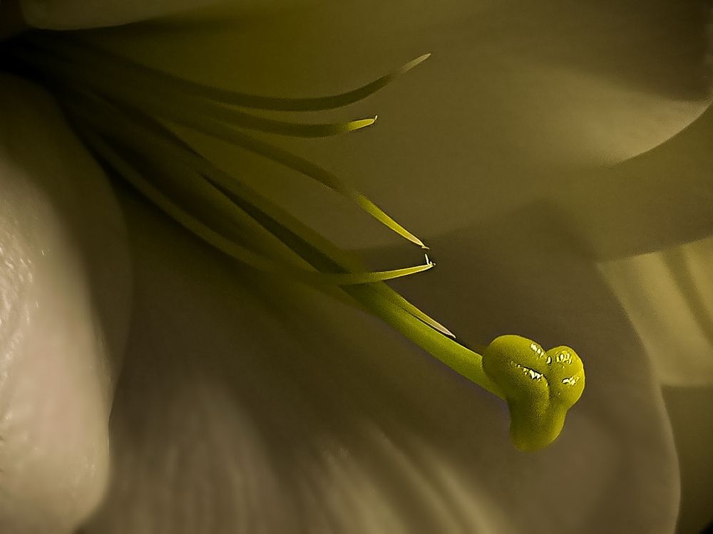 Photograph by Александр Деркач