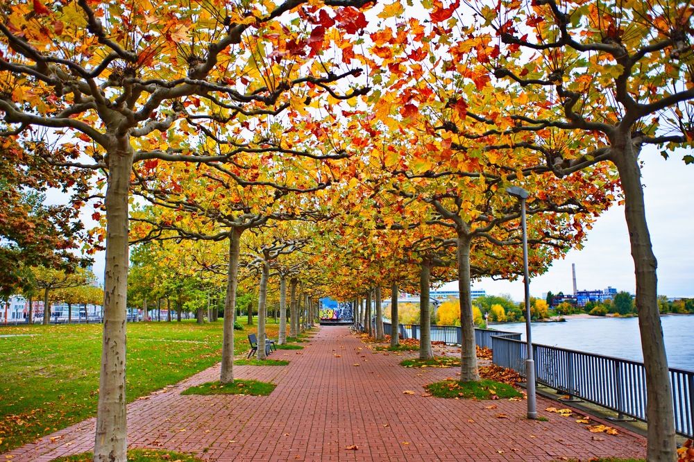 Photograph by Виталий Лёвин