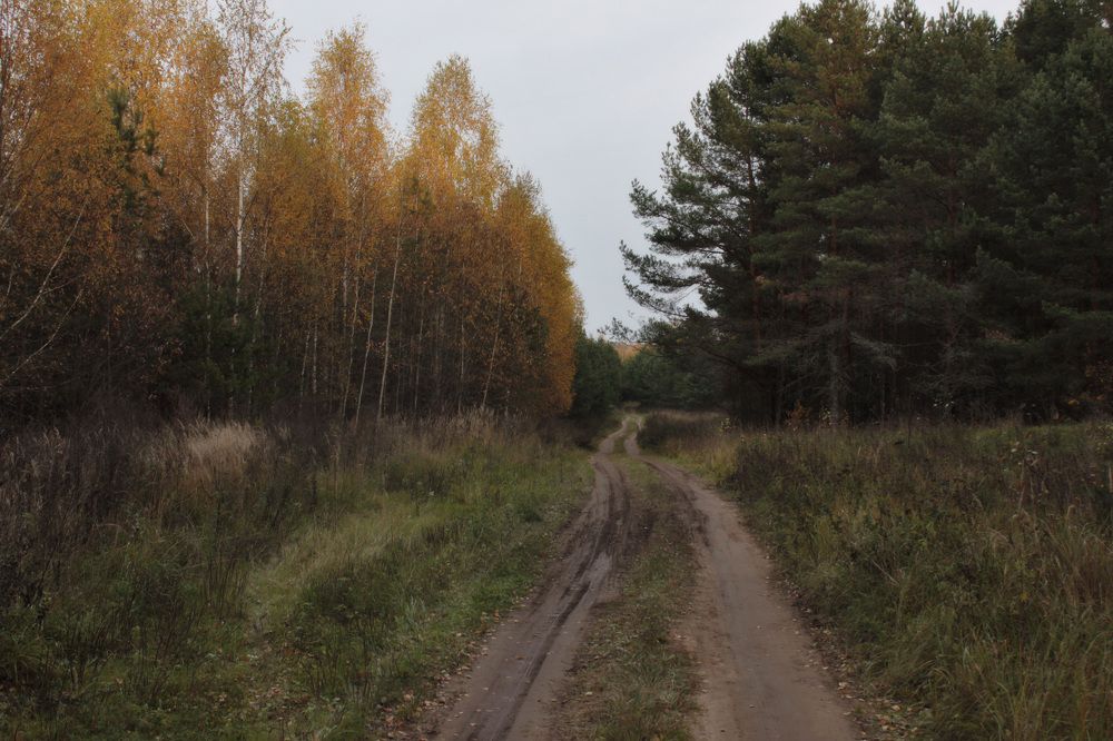 Photograph by Лев Марков