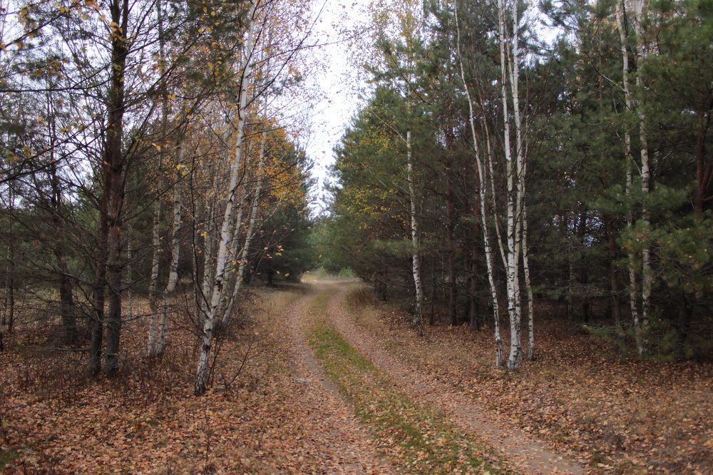 Photograph by Лев Марков