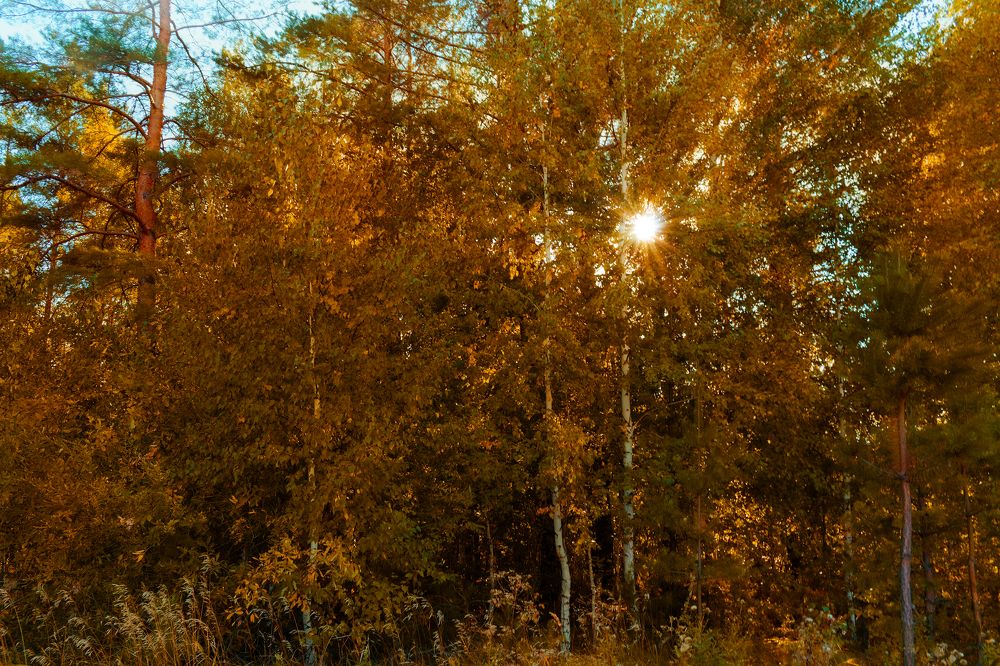 Photograph by Алена Кучина