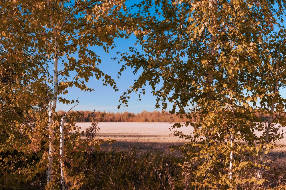 Photograph by Алена Кучина