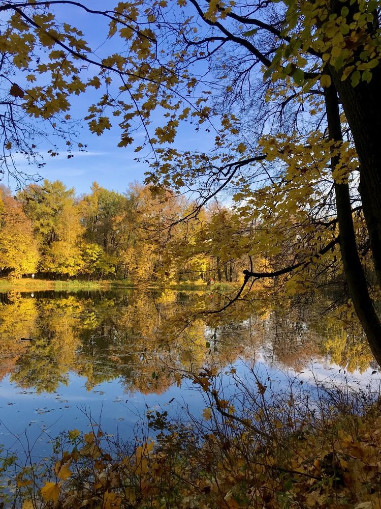 Photograph by Михаил Некрасов