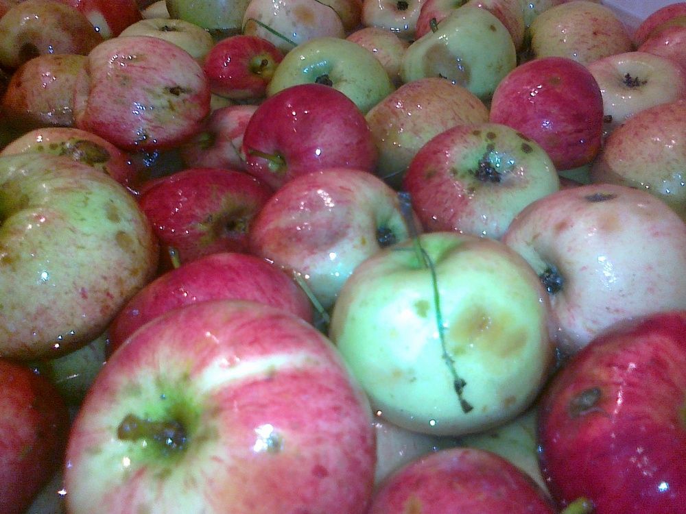 Photograph by Александр Борисович Шкурат