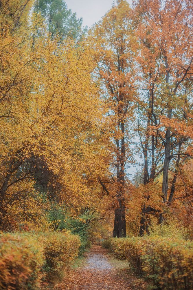 Photograph by Зухра Галиуллина