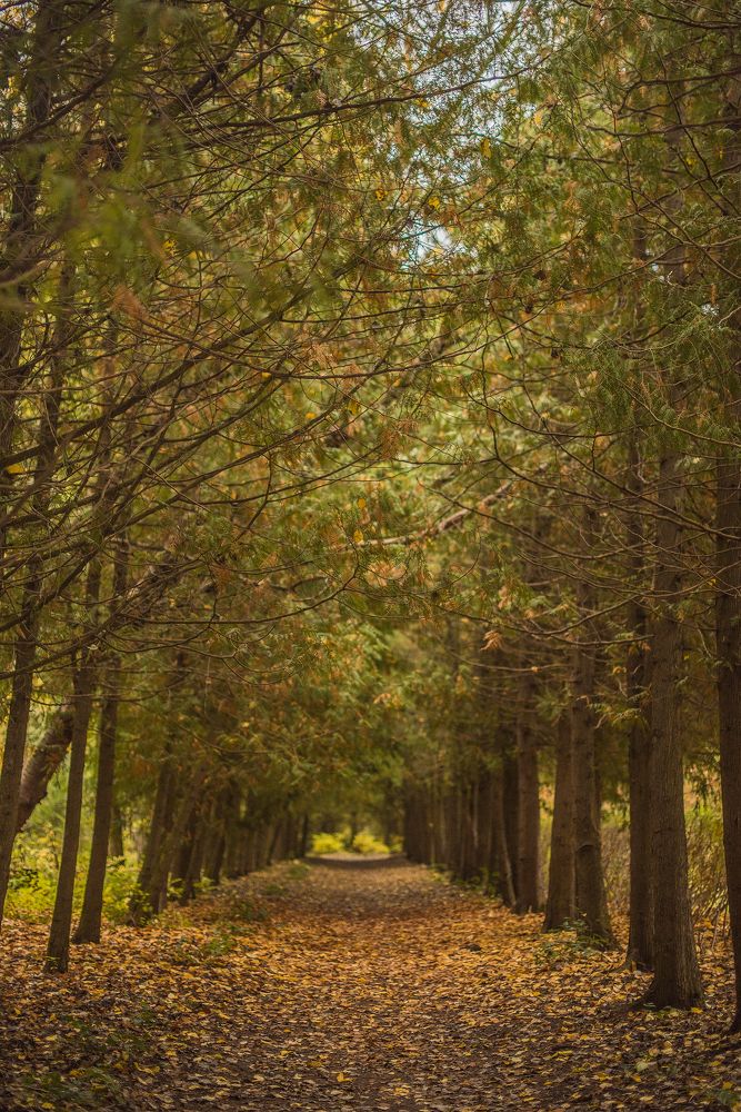 Photograph by Зухра Галиуллина