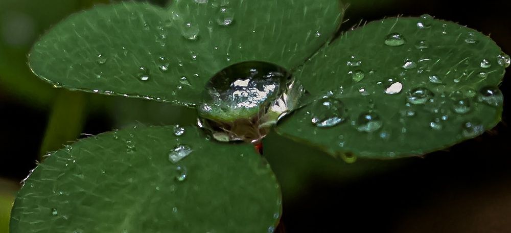 Photograph by Ализа TS