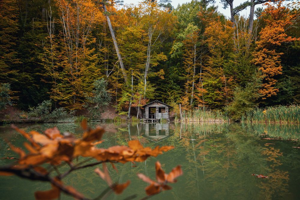 Photograph by EKATERINA WALTER