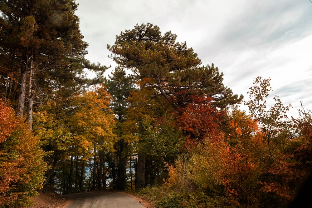 Photograph by EKATERINA WALTER