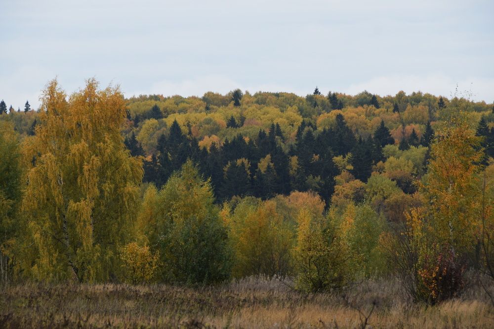 Photograph by Galina Leskova