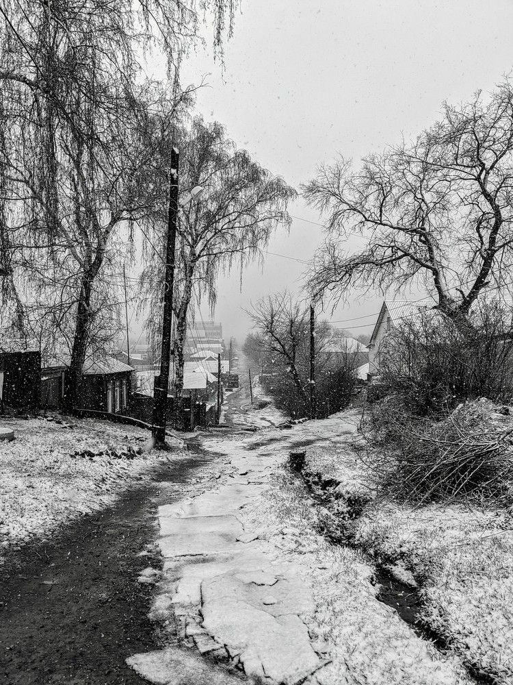 Photograph by Михаил Семенкин
