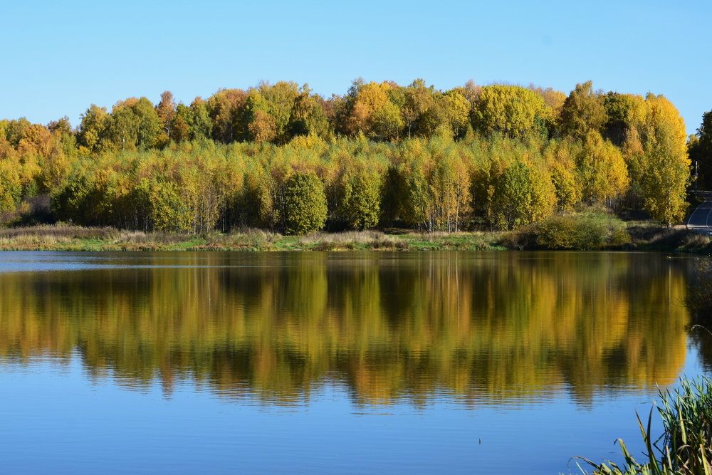 Photograph by Galina Leskova