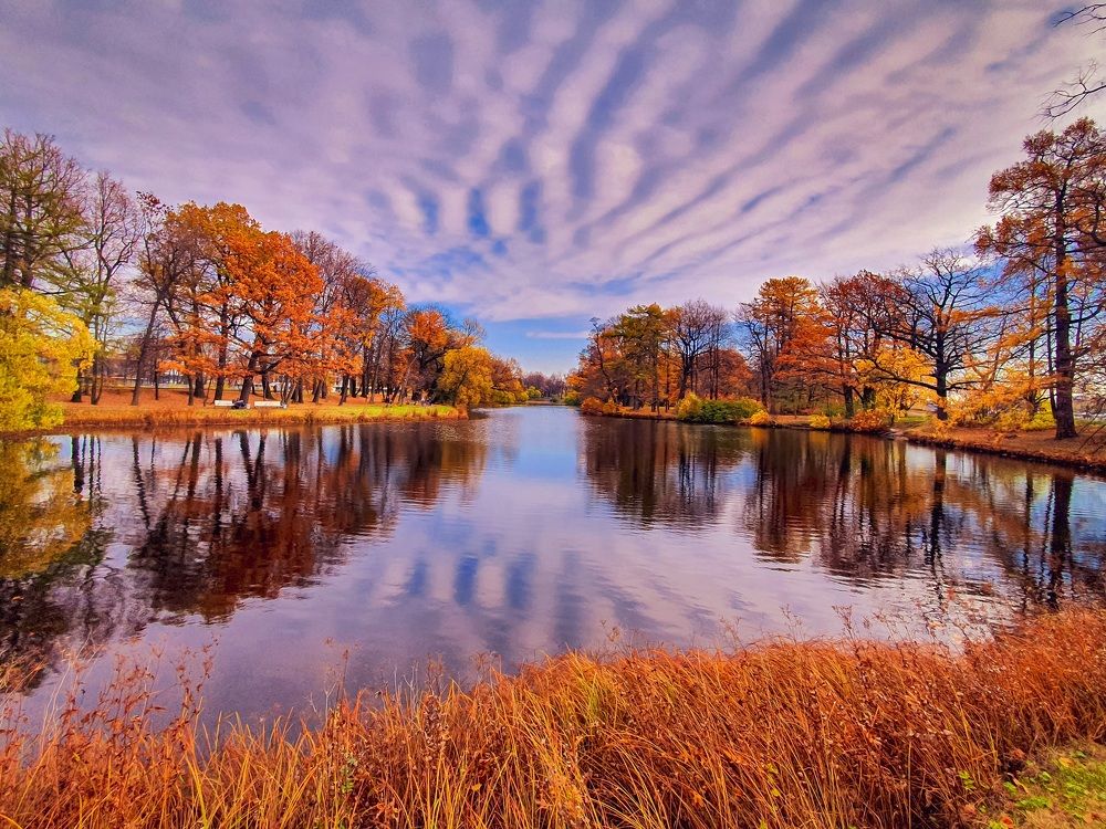 Осеннее небо.