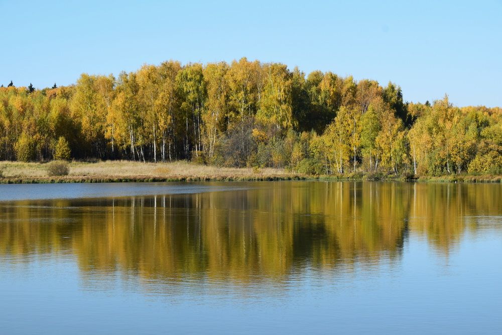 Photograph by Galina Leskova