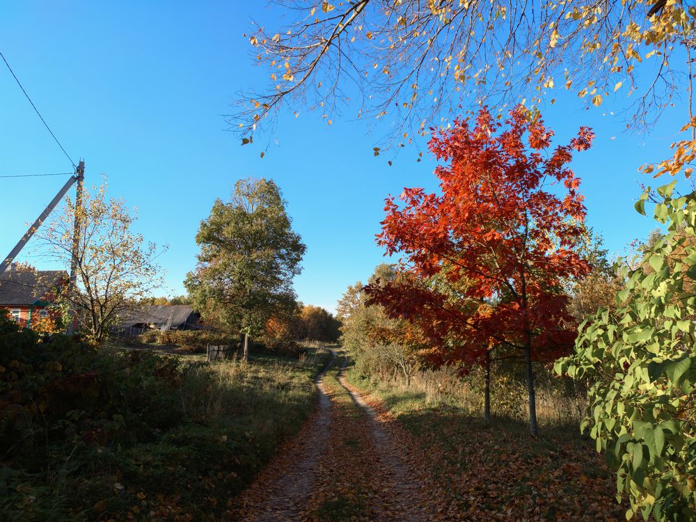 Photograph by Виталий Снегин