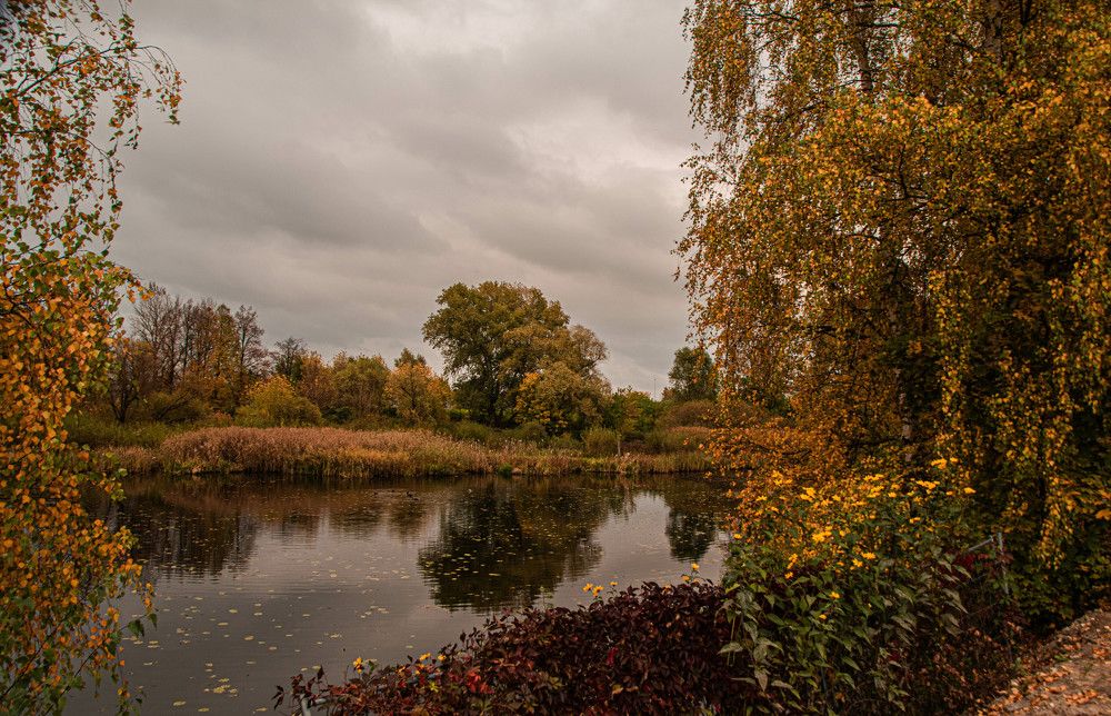 Фотография автора Aлексей Игнатьев
