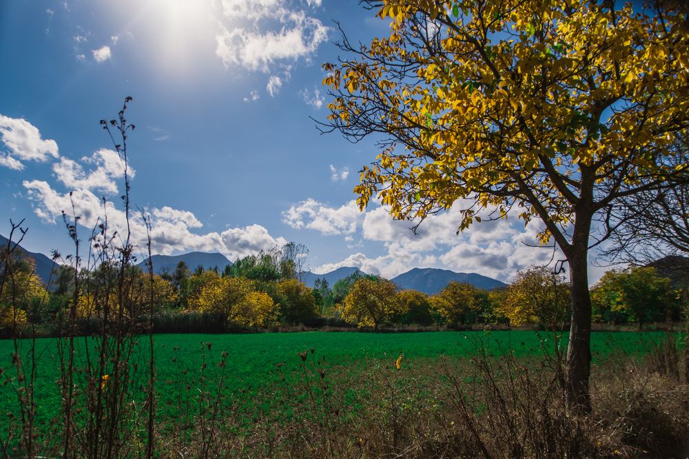 Photograph by Panagiotis Grammatikakis