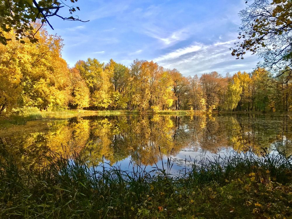 Осень в усадьбе Быково