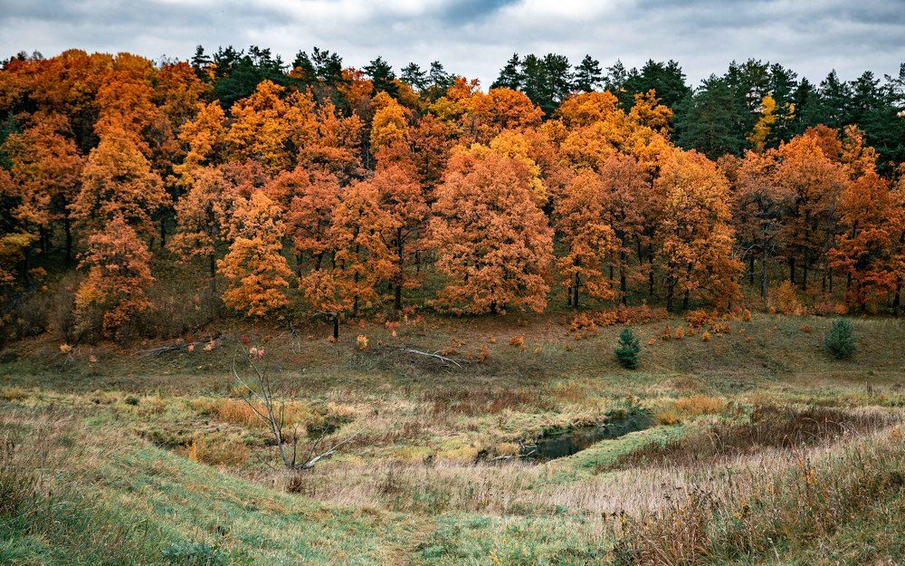 Фотография автора Dmitriy Sotnikov